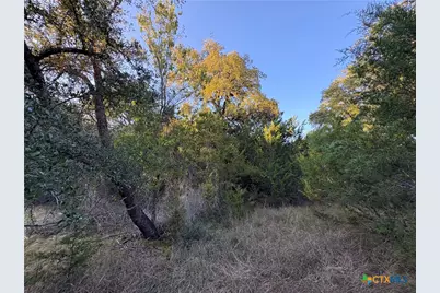 0 County Road 2773, Lometa, TX 76853 - Photo 1