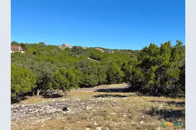 2114 Johnson Road, Canyon Lake, TX 78133 - Photo 13