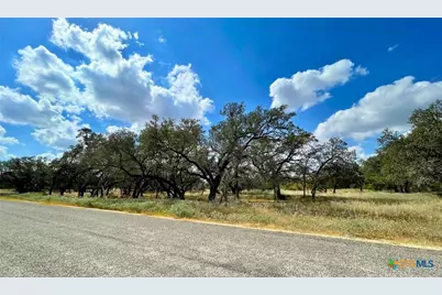 265 Firewheel Loop, Floresville, TX 78114 - Photo 15