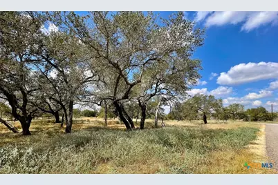 265 Firewheel Loop, Floresville, TX 78114 - Photo 3