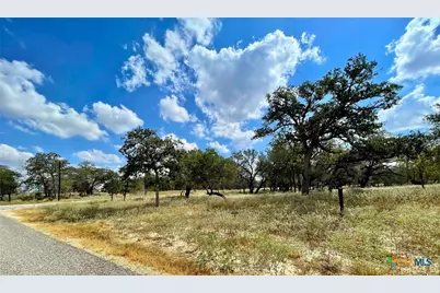 265 Firewheel Loop, Floresville, TX 78114 - Photo 9