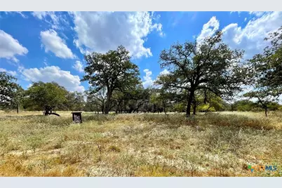 265 Firewheel Loop, Floresville, TX 78114 - Photo 11