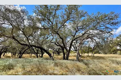 265 Firewheel Loop, Floresville, TX 78114 - Photo 1