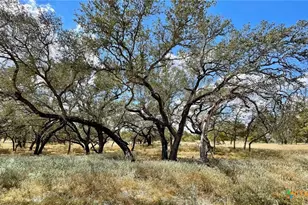 265 Firewheel Loop, Floresville, TX 78114 - Photo 1