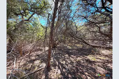 426 Clay Ridge Ridge, Canyon Lake, TX 78133 - Photo 5