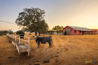 1155 Fm 2438, Seguin, TX 78155 - Photo 43