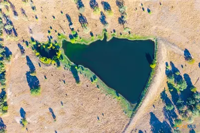 1155 Fm 2438, Seguin, TX 78155 - Photo 21