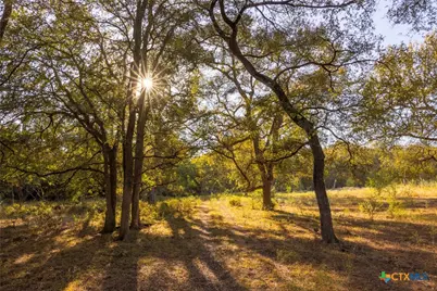 1155 Fm 2438, Seguin, TX 78155 - Photo 41