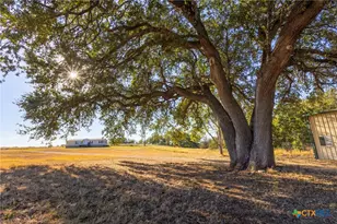 1155 Fm 2438, Seguin, TX 78155 - Photo 39