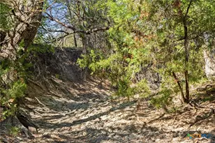 Tbd Fm 963, Briggs, TX 78608 - Photo 39