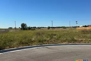 1313 Canyon Turn Dr, Troy, TX 76579 - Photo 1