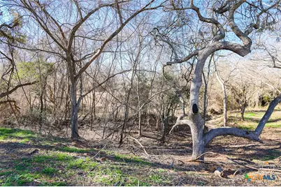 511 Cr 362 #Lot 3, Shiner, TX 77984 - Photo 3