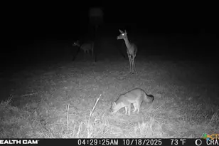 23651 Wolfridge Rd, Killeen, TX 76549 - Photo 43