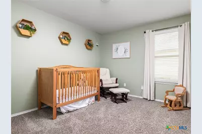 146 Hammond Court, Jarrell, TX 76537 - Photo 13