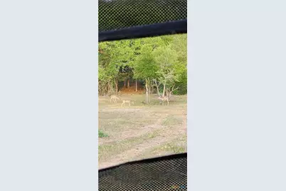 2354 Fm 2438, Seguin, TX 78155 - Photo 41