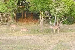 2354 Fm 2438, Seguin, TX 78155 - Photo 41