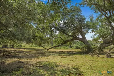 1733 County Road 284, Edna, TX 77957 - Photo 9