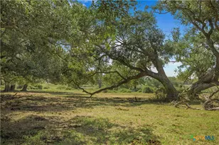 1733 Co Rd 284, Edna, TX 77957 - Photo 9