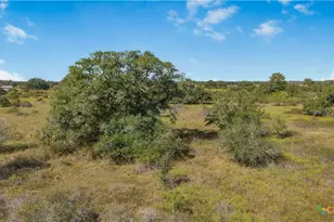 1733 Co Rd 284, Edna, TX 77957 - Photo 13