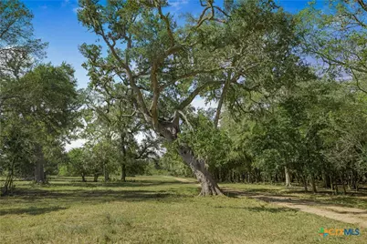 1733 County Road 284, Edna, TX 77957 - Photo 1
