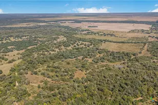 1733 Co Rd 284, Edna, TX 77957 - Photo 5