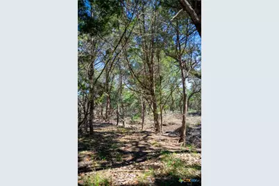 34720 Ansley Ridge Trail, Bulverde, TX 78163 - Photo 7