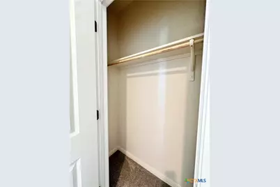 124 Parrigin Cove, San Marcos, TX 78666 - Photo 21