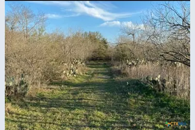 5570 Blackhill Road, Floresville, TX 78114 - Photo 35