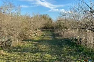 5570 Blackhill Rd, Floresville, TX 78114 - Photo 35