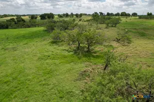 000 Meier Settlement Rd, Riesel, TX 76682 - Photo 13