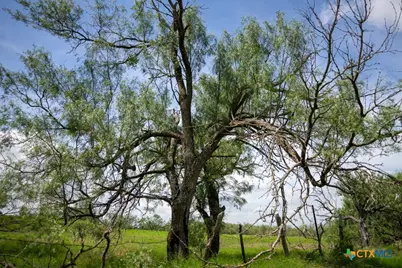 000 Meier Settlement Road, Riesel, TX 76682 - Photo 9