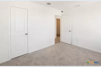 316 Alligator Creek, Seguin, TX 78155 - Photo 19