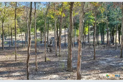 1445 Remington Circle, Moody, TX 76557 - Photo 27