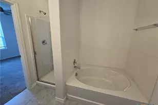 334 Mistflower, New Braunfels, TX 78130 - Photo 19