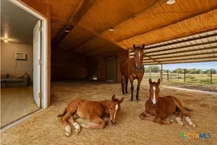 1610 FM107, Gatesville, TX 76528 - Photo 5