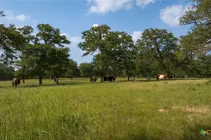 190 Turnaround Rd, Seguin, TX 78155 - Photo 19