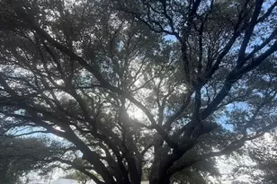 910 E Ave I, Lampasas, TX 76550 - Photo 29