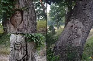 124 OLD Msn Rd, Kempner, TX 76539 - Photo 37