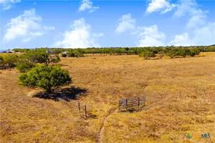 Tbd 50 Acres Pfullman Rd, Seguin, TX 78155 - Photo 21