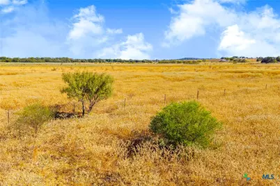 Tbd 50 Acres Pfullman Road, Seguin, TX 78155 - Photo 15