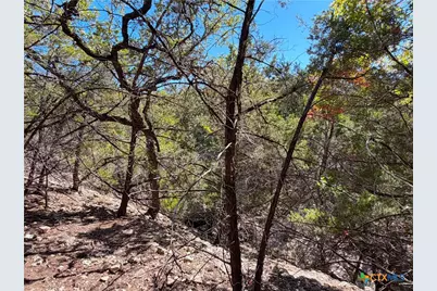 1031 Parton and 151 Reeves Road, Canyon Lake, TX 78133 - Photo 15