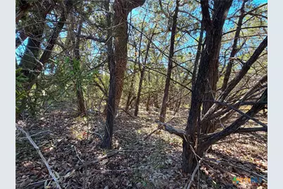 1031 Parton and 151 Reeves Road, Canyon Lake, TX 78133 - Photo 19
