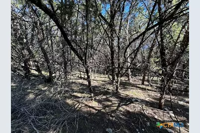 1031 Parton and 151 Reeves Road, Canyon Lake, TX 78133 - Photo 23