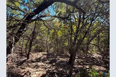 1031 Parton and 151 Reeves Road, Canyon Lake, TX 78133 - Photo 13