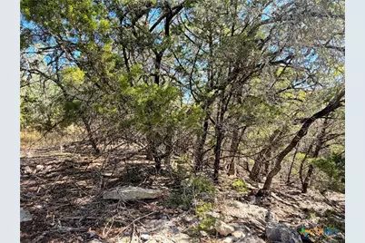 1031 Parton and 151 Reeves Road, Canyon Lake, TX 78133 - Photo 11