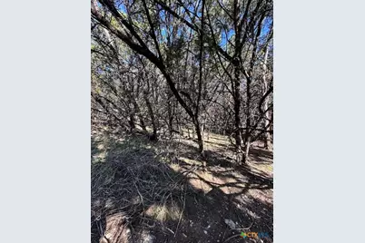 1031 Parton and 151 Reeves Road, Canyon Lake, TX 78133 - Photo 21