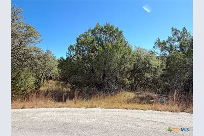 1031 Parton and 151 Reeves Road, Canyon Lake, TX 78133 - Photo 5