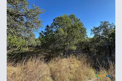 1031 Parton and 151 Reeves Road, Canyon Lake, TX 78133 - Photo 21