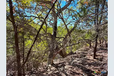 1031 Parton and 151 Reeves Road, Canyon Lake, TX 78133 - Photo 11