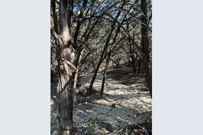 1031 Parton and 151 Reeves Road, Canyon Lake, TX 78133 - Photo 25